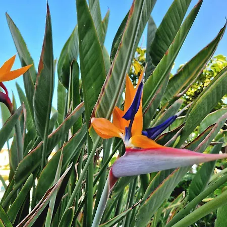 El Corazon De Americas Плая-де-лас-Америкас