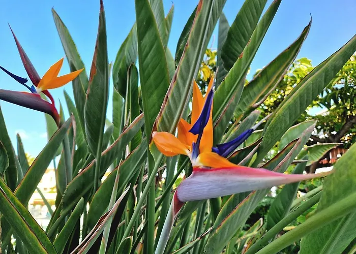 El Corazon De Americas プラヤ・デ・ラス・アメリカス